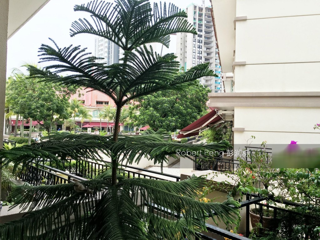 Horizon Gardens (D20), Terrace #119787292